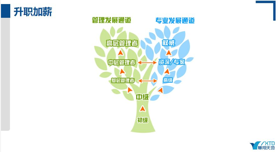 软考的价值 软考的价值