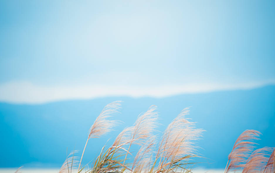 软考高级报名时间.png 软考高级报名时间.png